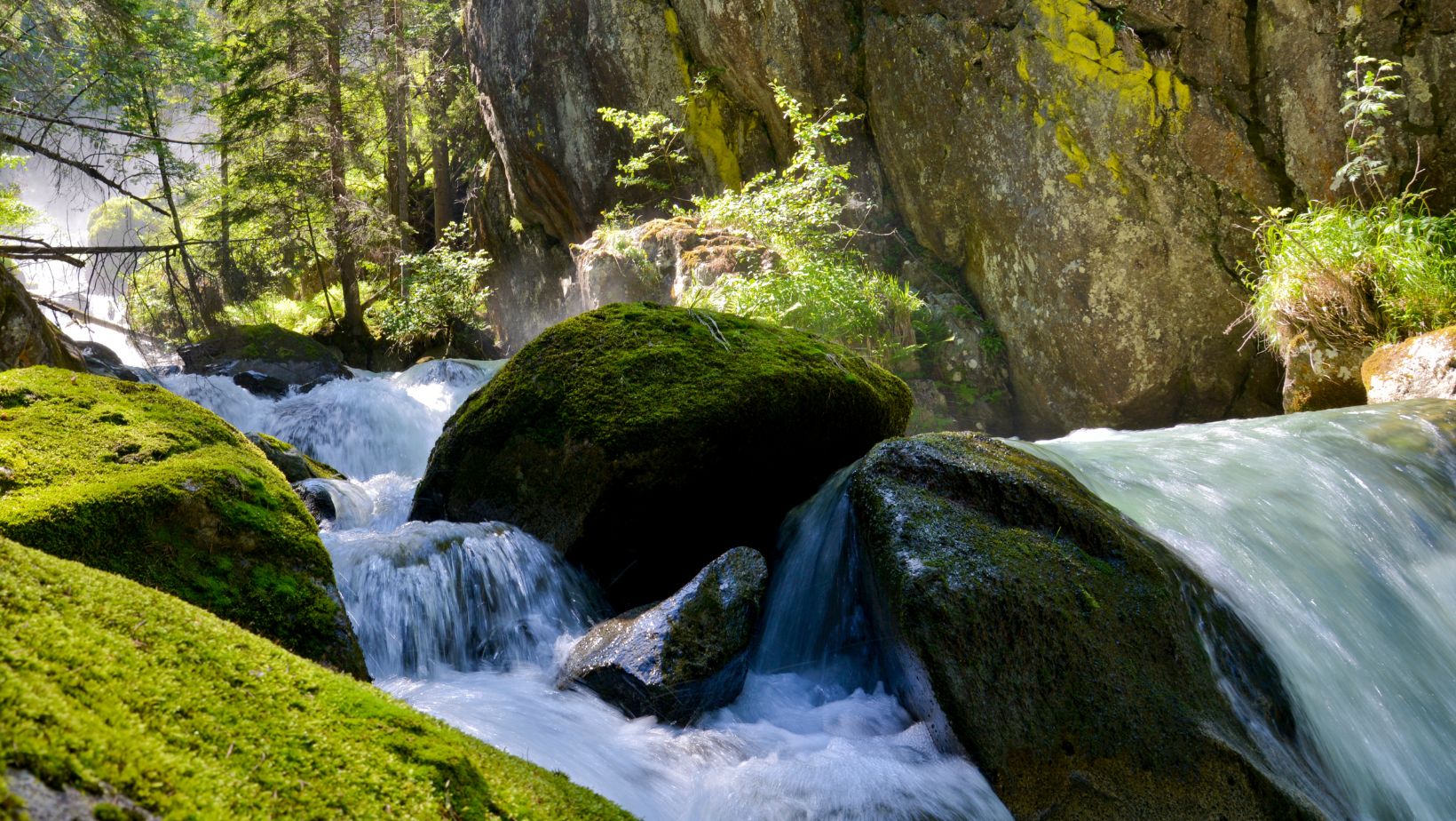 Acqaua Pura Vita Sana – Illuminare il cammino verso la purezza dell'acqua  in ogni casa, combattere l'inquinamento e promuovere il benessere.